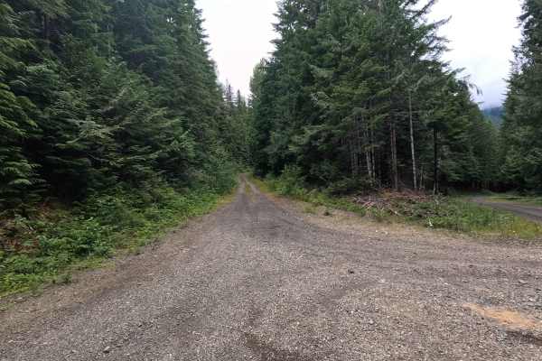 Church Creek East Trailhead - FS 2361600