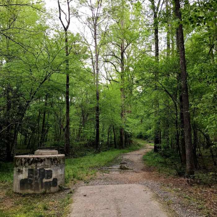 The trail transitions from paved to gravel Near OWASA Bolin Creek Trail