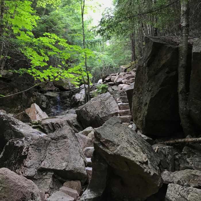 Near Cadillac and Dorr Mountain via the Gorge Path Near Cadillac and Dorr Mountain via the Gorge Path