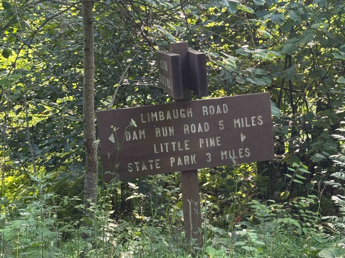 Limbaugh Road photo 6