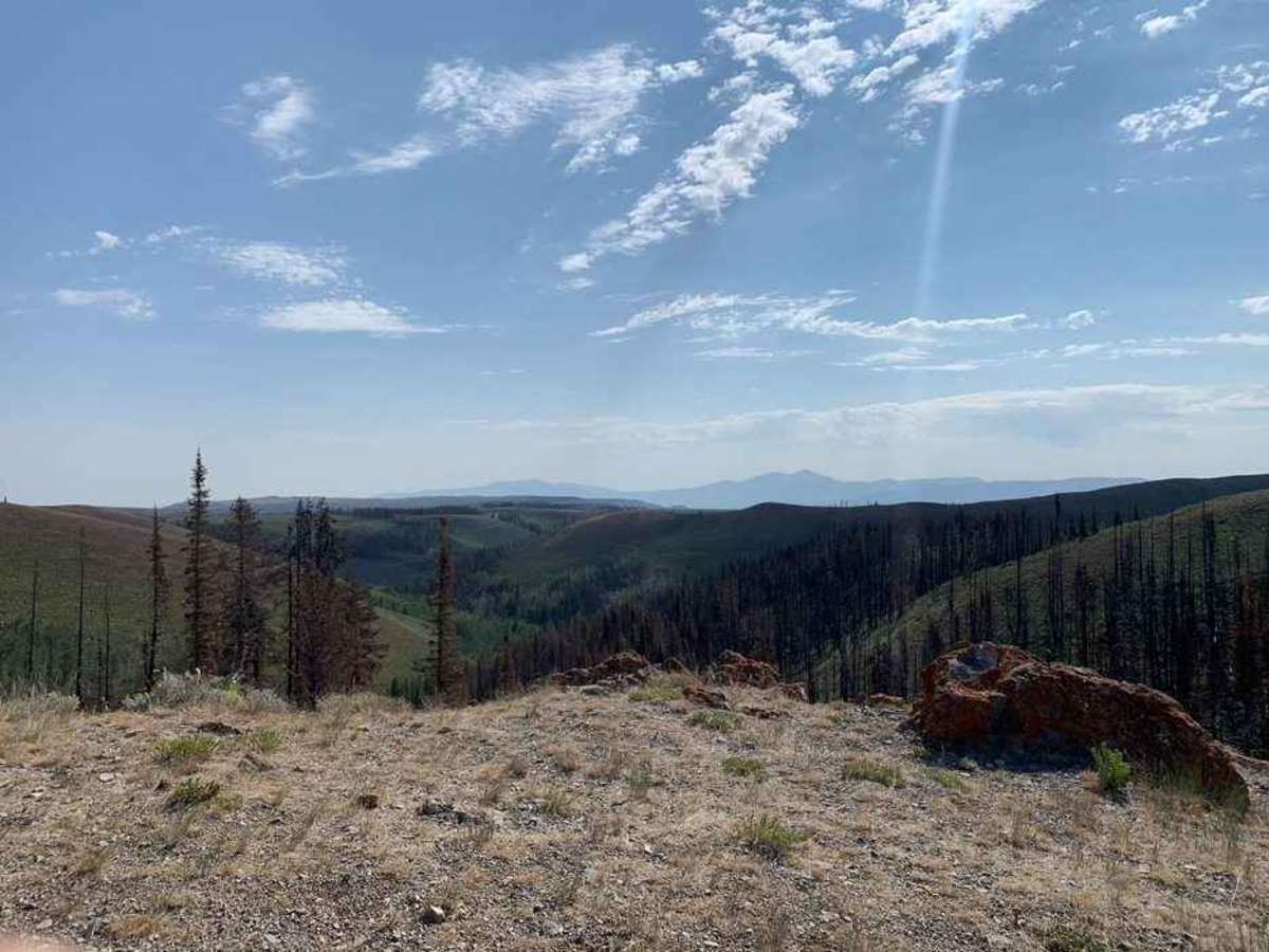 South Hills Adventure Loop photo 5
