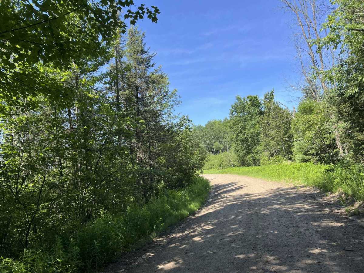 Browns Road - FS 2132 photo 5