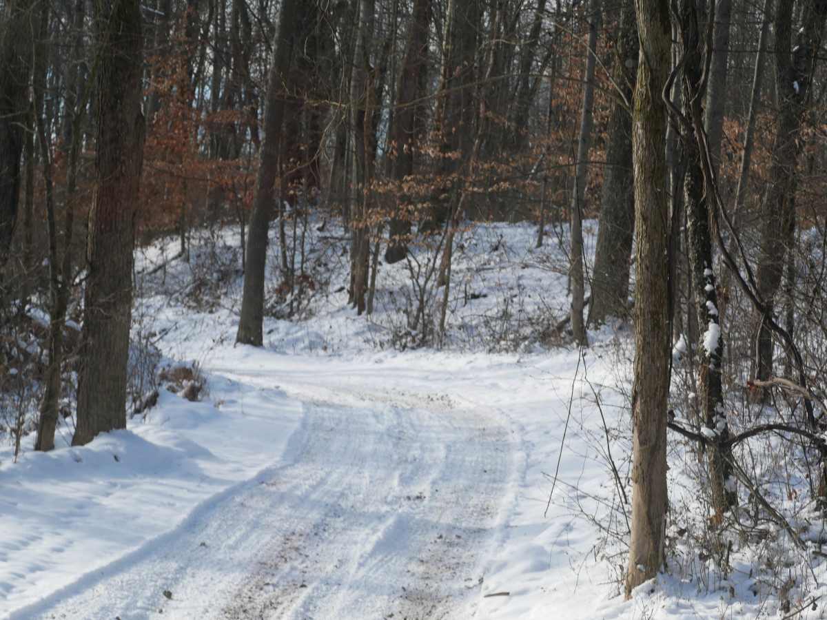 Trail 28 photo 4