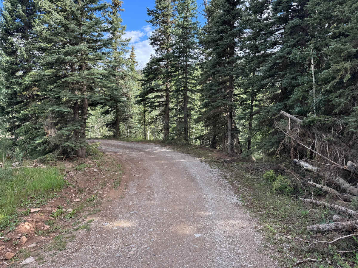 Purgatory Road trail photo