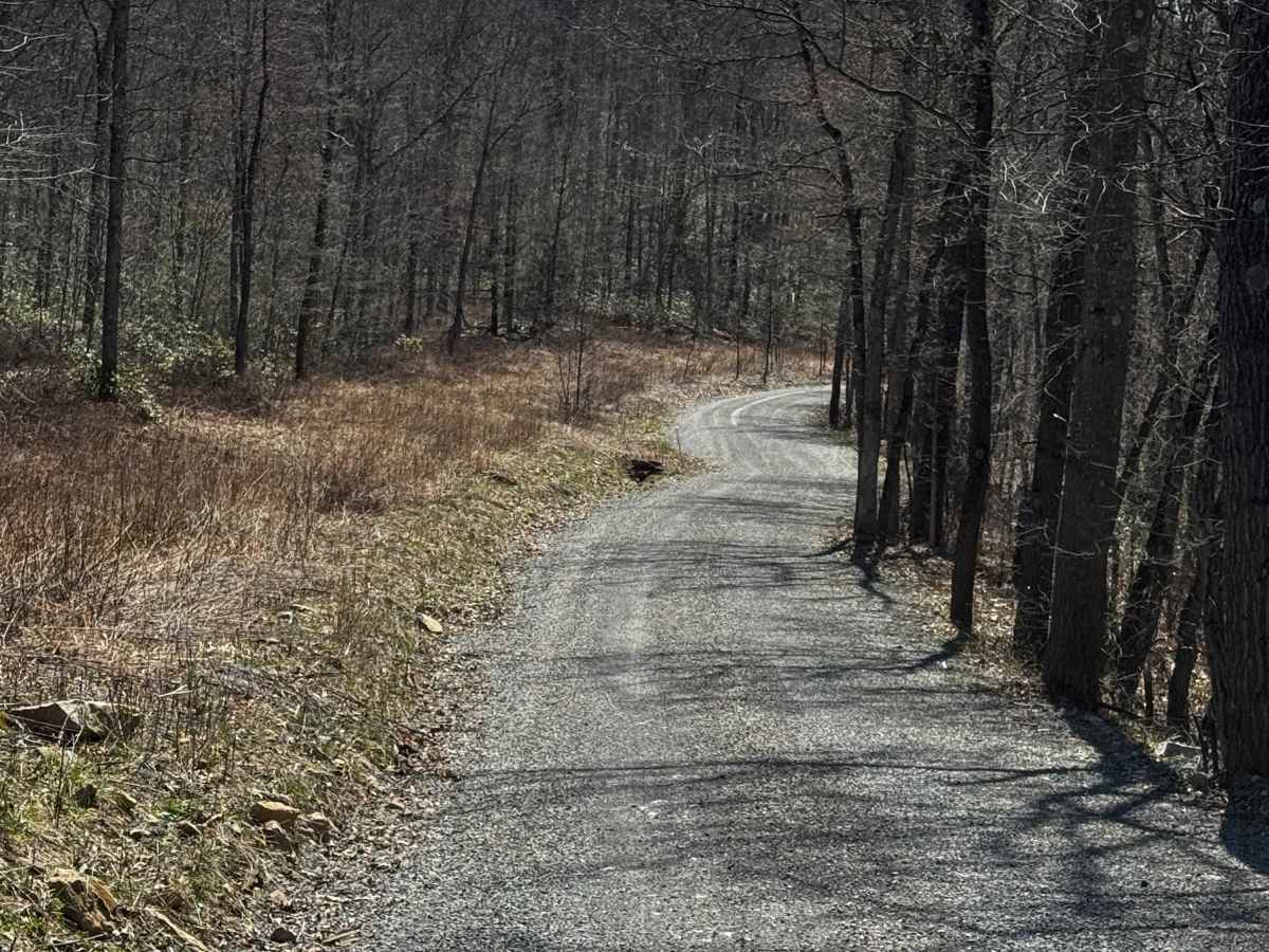 Marsh Creek Trail photo 5