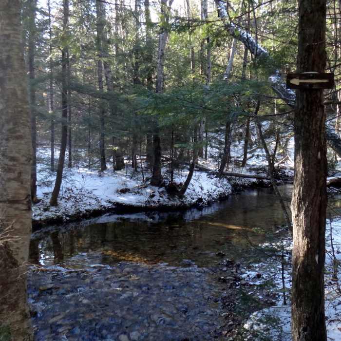 Crossing the West Branch of the Olivarian Brook Near Passaconaway Cutoff