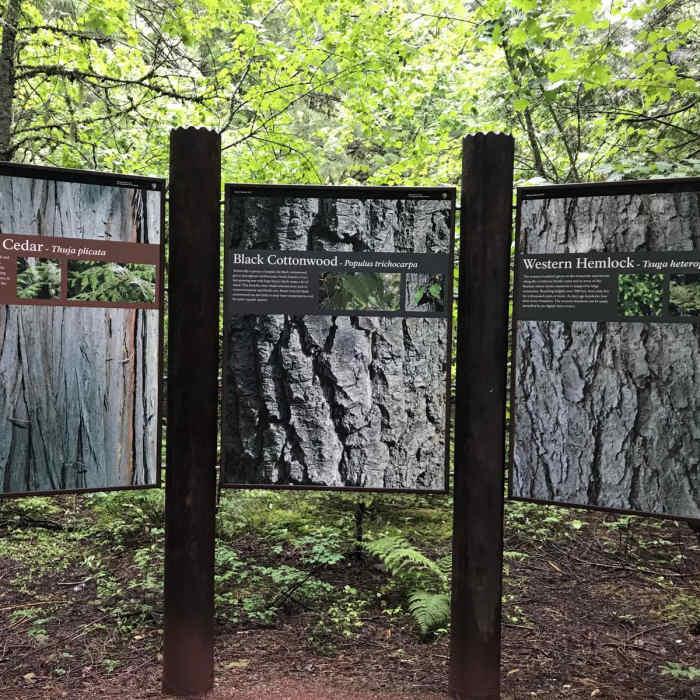 Near Trail of the Cedars