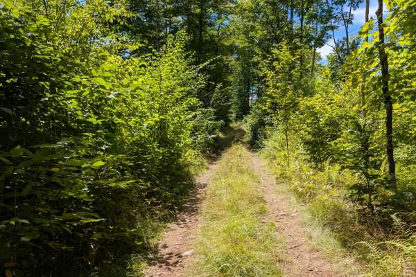 Grass River Trail Alternate
