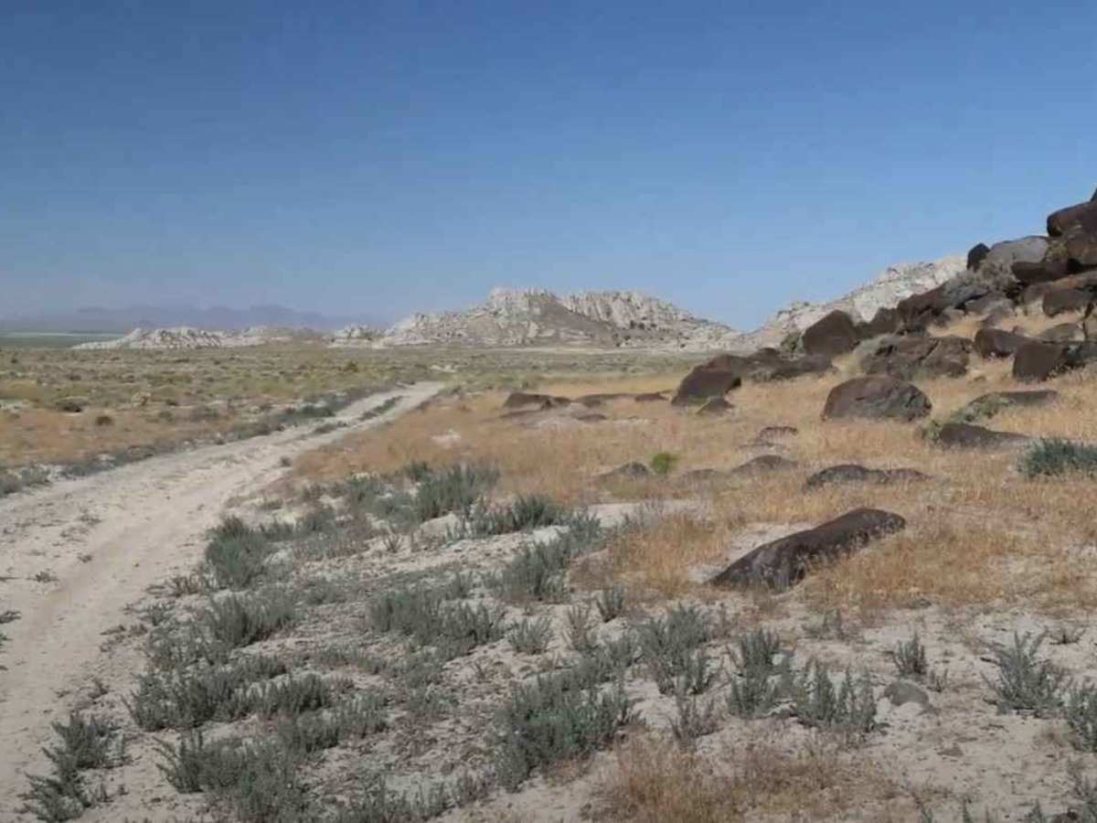 Desert Mountain Petroglyphs photo 3