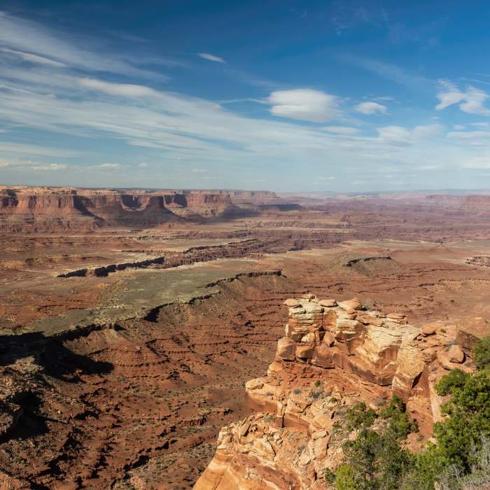 Near White Rim Overlook Trail