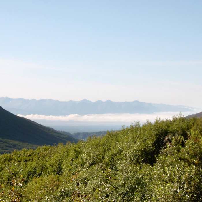 Near Reed Lakes Trail Near Reed Lakes Trail