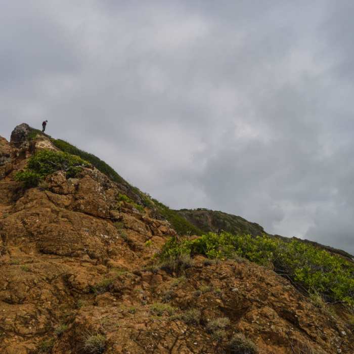 Near Koko Crater Rim Trail Near Koko Crater Rim Trail
