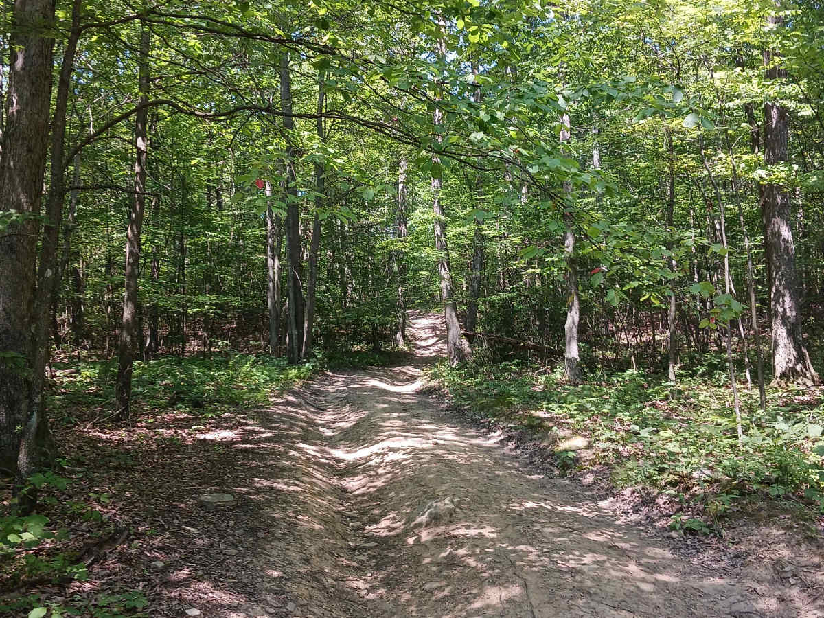 Fern Way - Rock Run Recreation Area photo 2