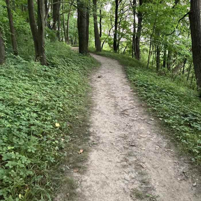 Near Hiking Club Trail