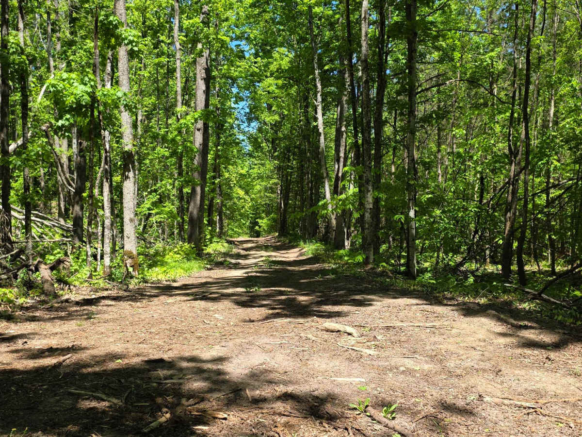 Wilber Hill trail photo