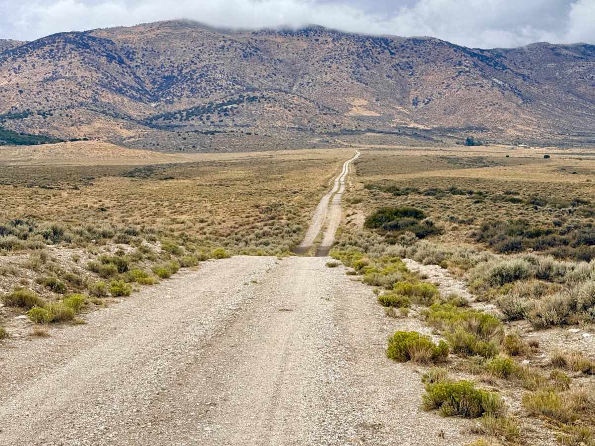 Lone Pine Ranch photo 6