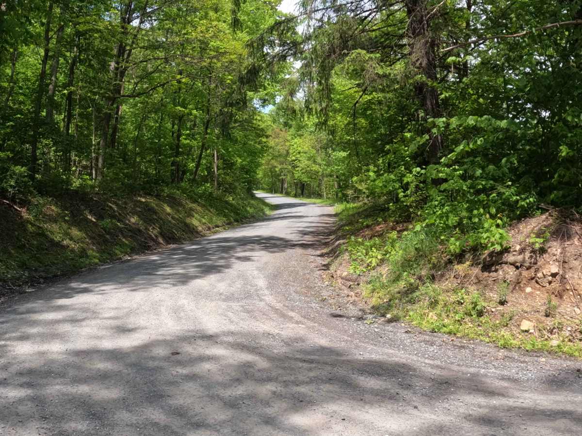 McVeytown Road trail photo