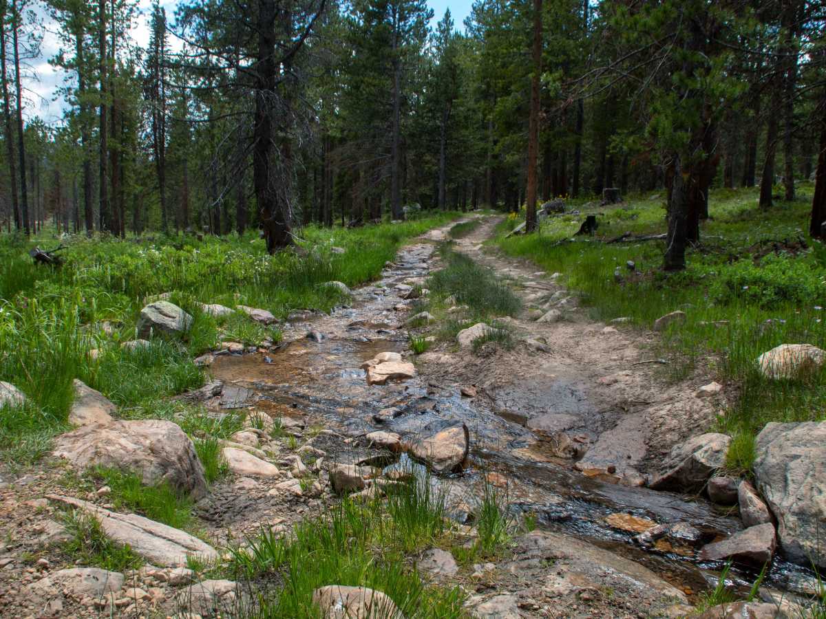 Spring Canyon 2 - FS 80944 trail photo