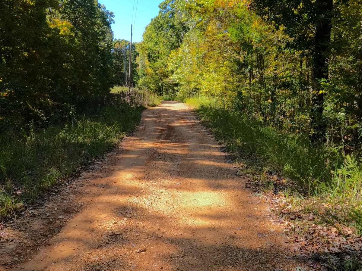 Shaw Branch - FS 154 trail photo