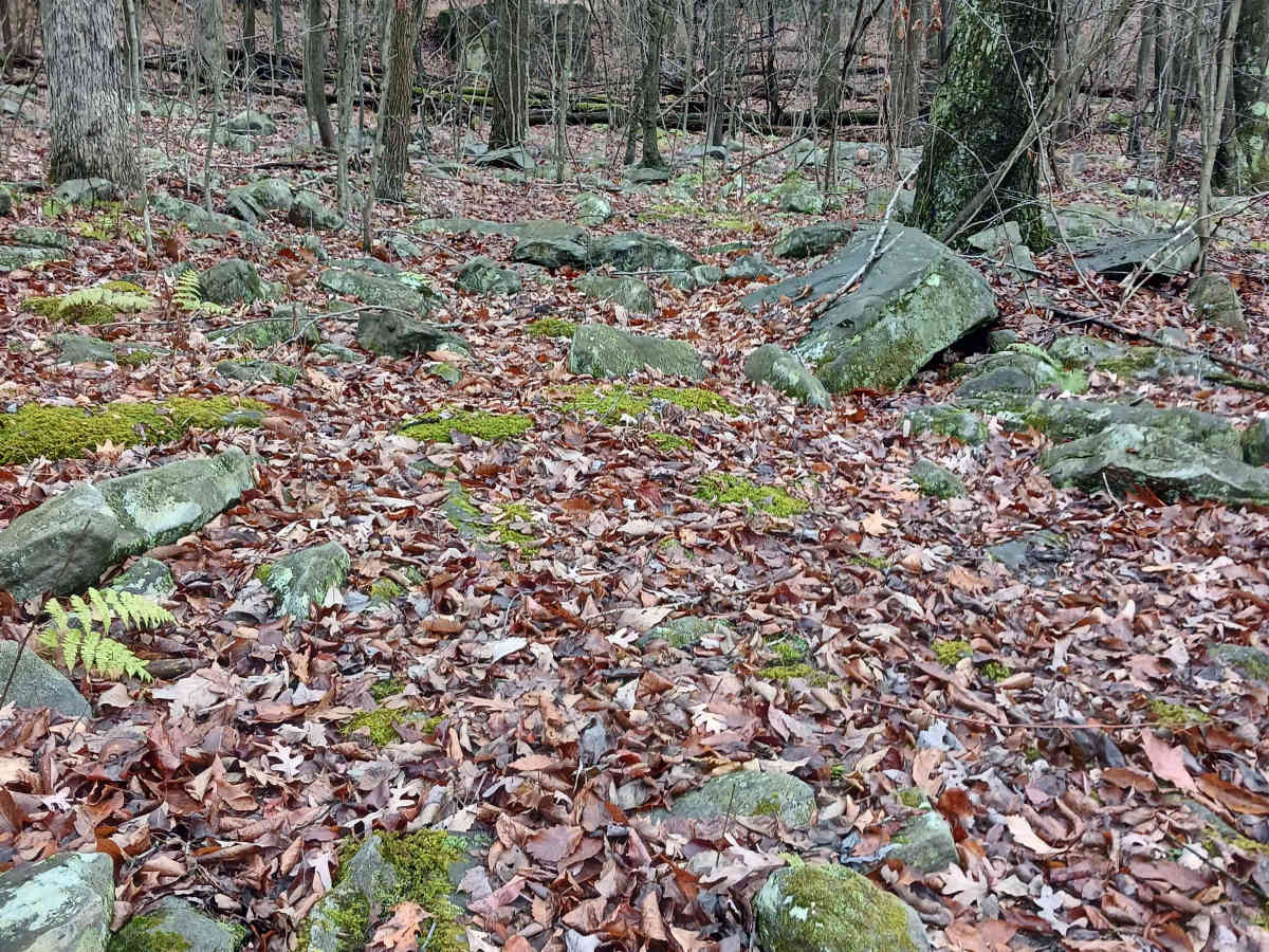 OHV 32 - Rock Run Recreation Area photo 6