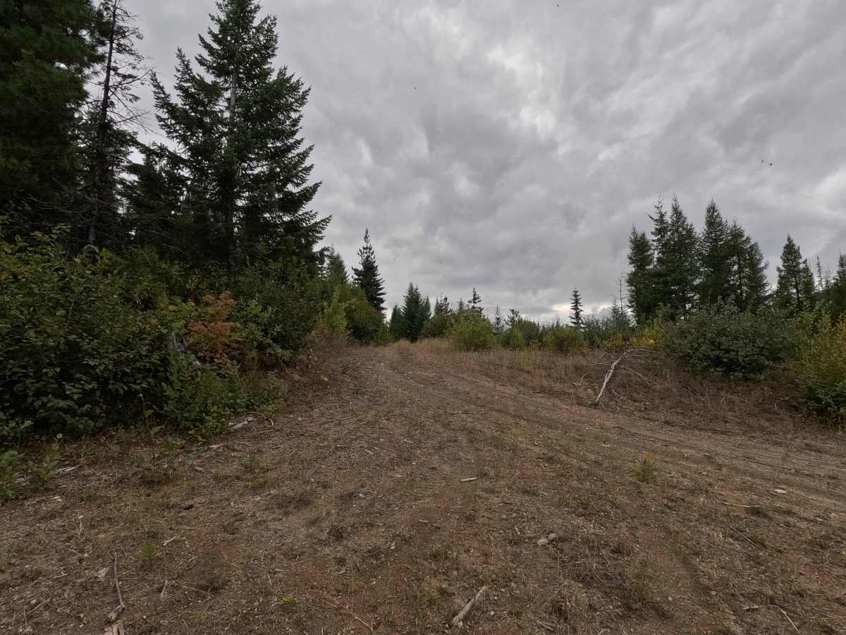 Solo Creek G - FS 659G trail photo