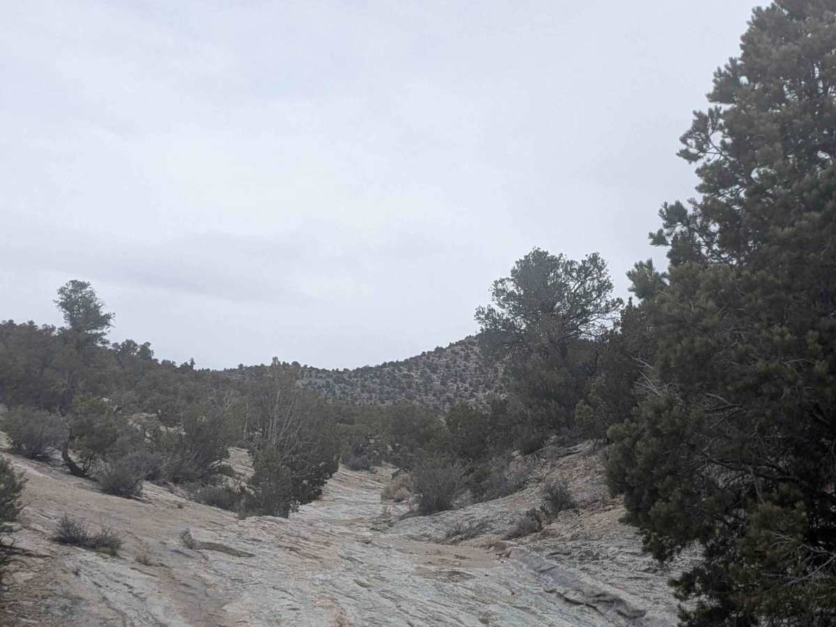 Side Canyon Road photo 6