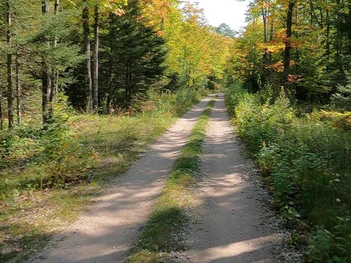 ORV Route A Service Bridge - FS 3810  photo 5