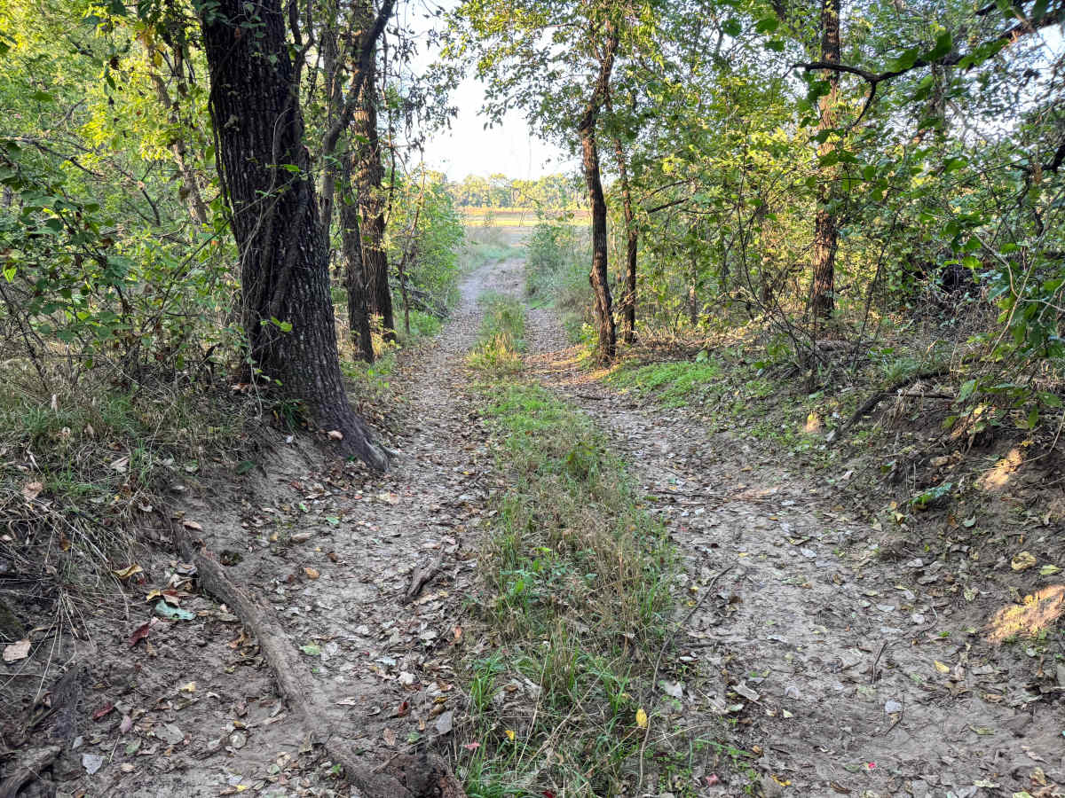 EGT Hill photo 2