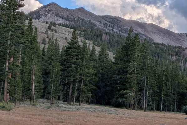 Castle Rock Road - FS 32139