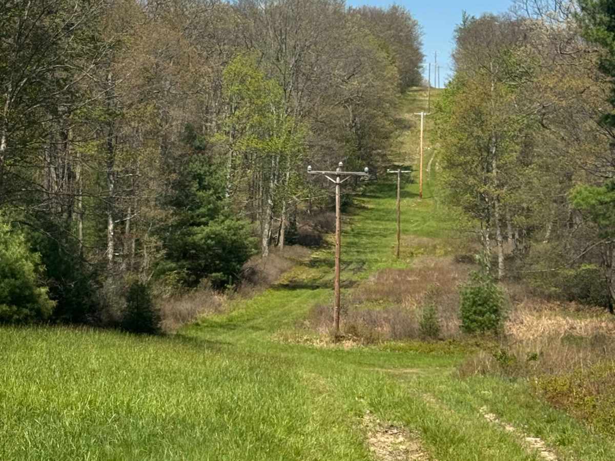 Marks Run Road photo 6