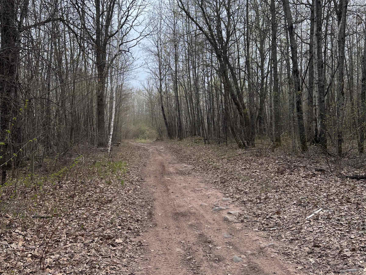 Matthew Lourey State Trail photo 5
