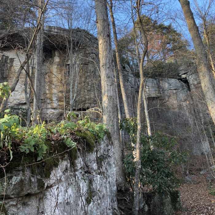 Near Headhouse Trail