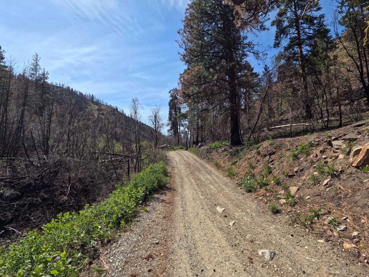 Swakane Canyon Road - FS 7415 photo 5