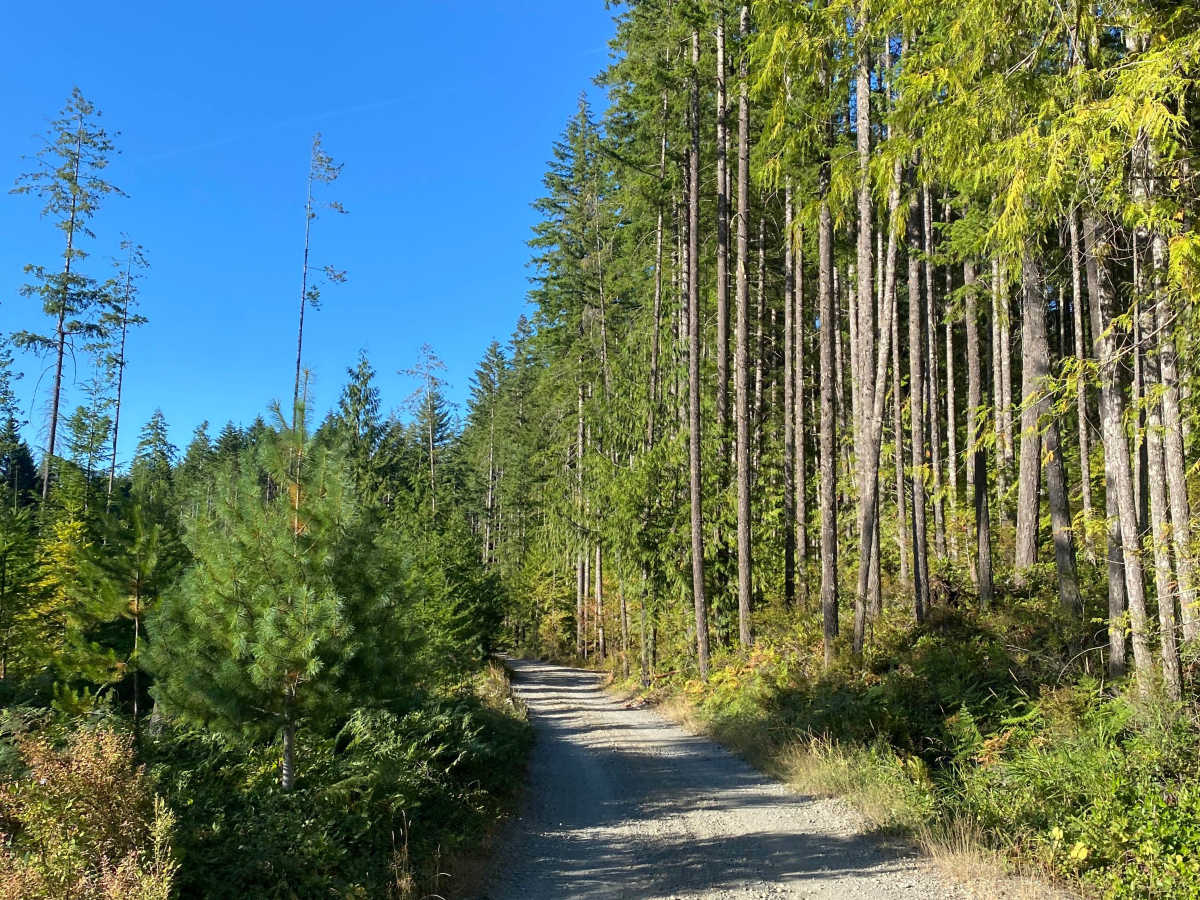 Big Bay Recreation Site photo 5