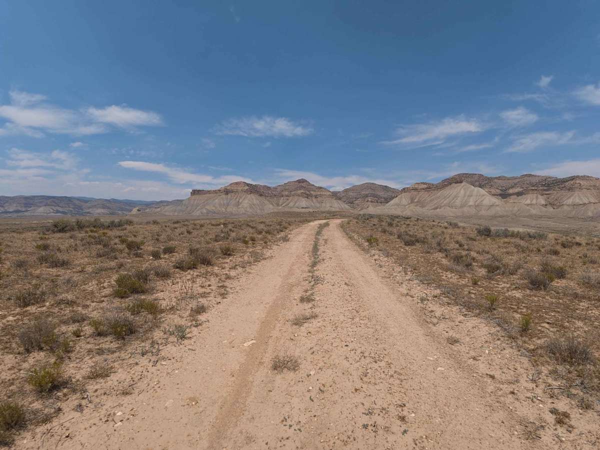 BLM 113 photo 3