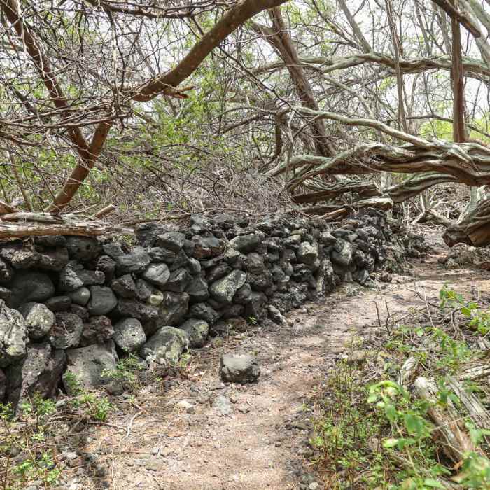 Near Honomalino Bay Trail Near Honomalino Bay Trail