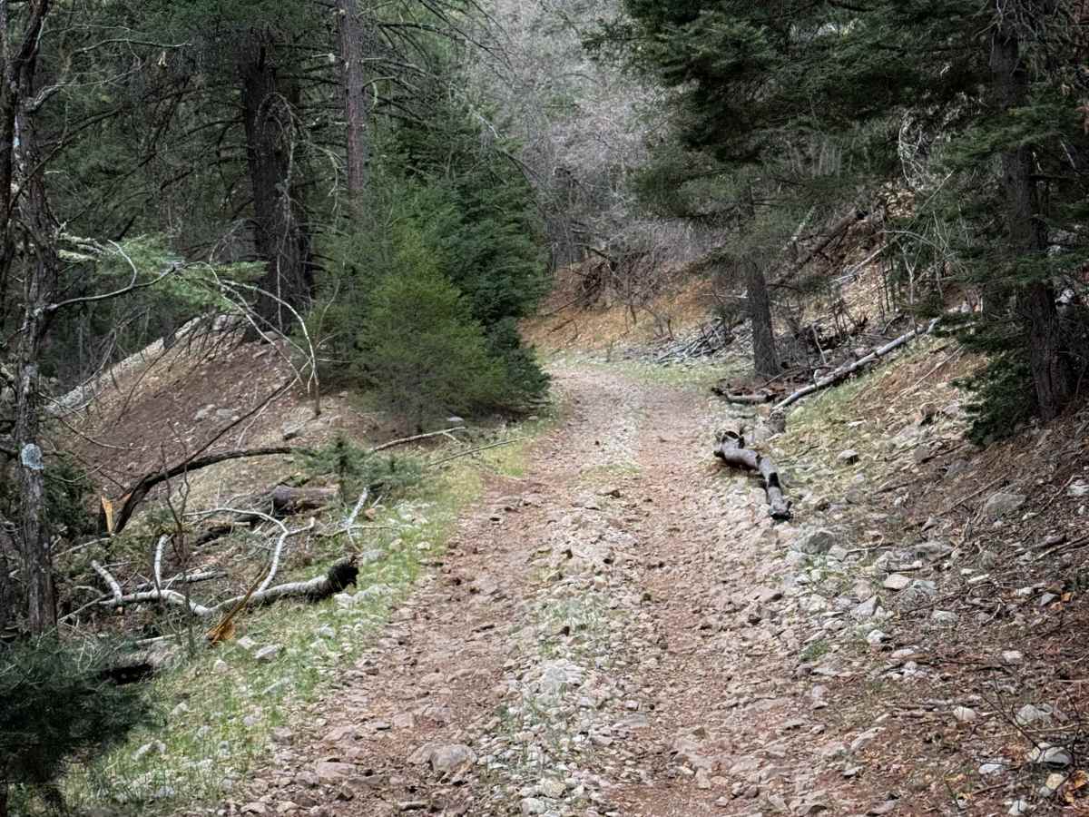 Benson Canyon Spur - FS 5005A  photo 4