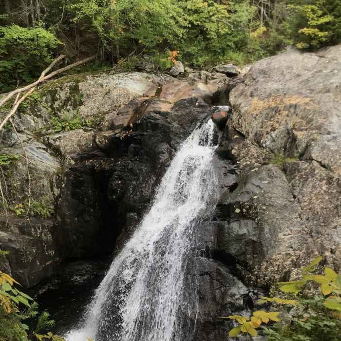 Near Garfield Falls Trail