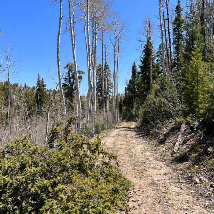 Near North Rim Lookout and Back