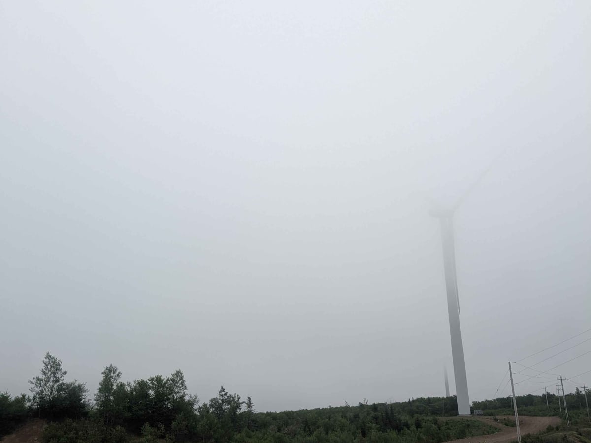 7219 Road photo 3