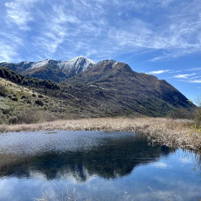 Near Lake Dispute Track Near Lake Dispute Track