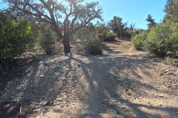 Lower Loop - BLM 73M