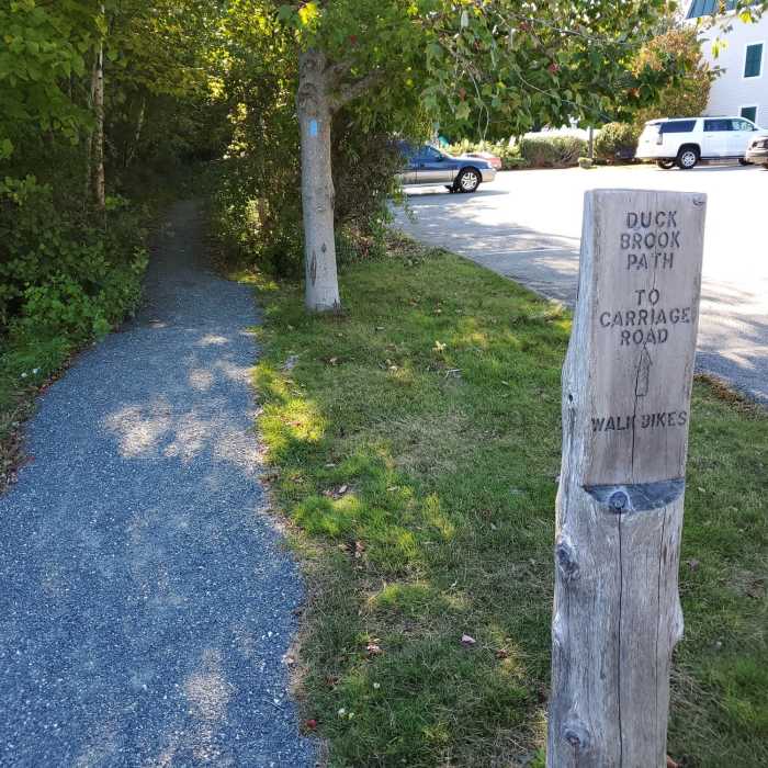 Near Duck Brook Connector