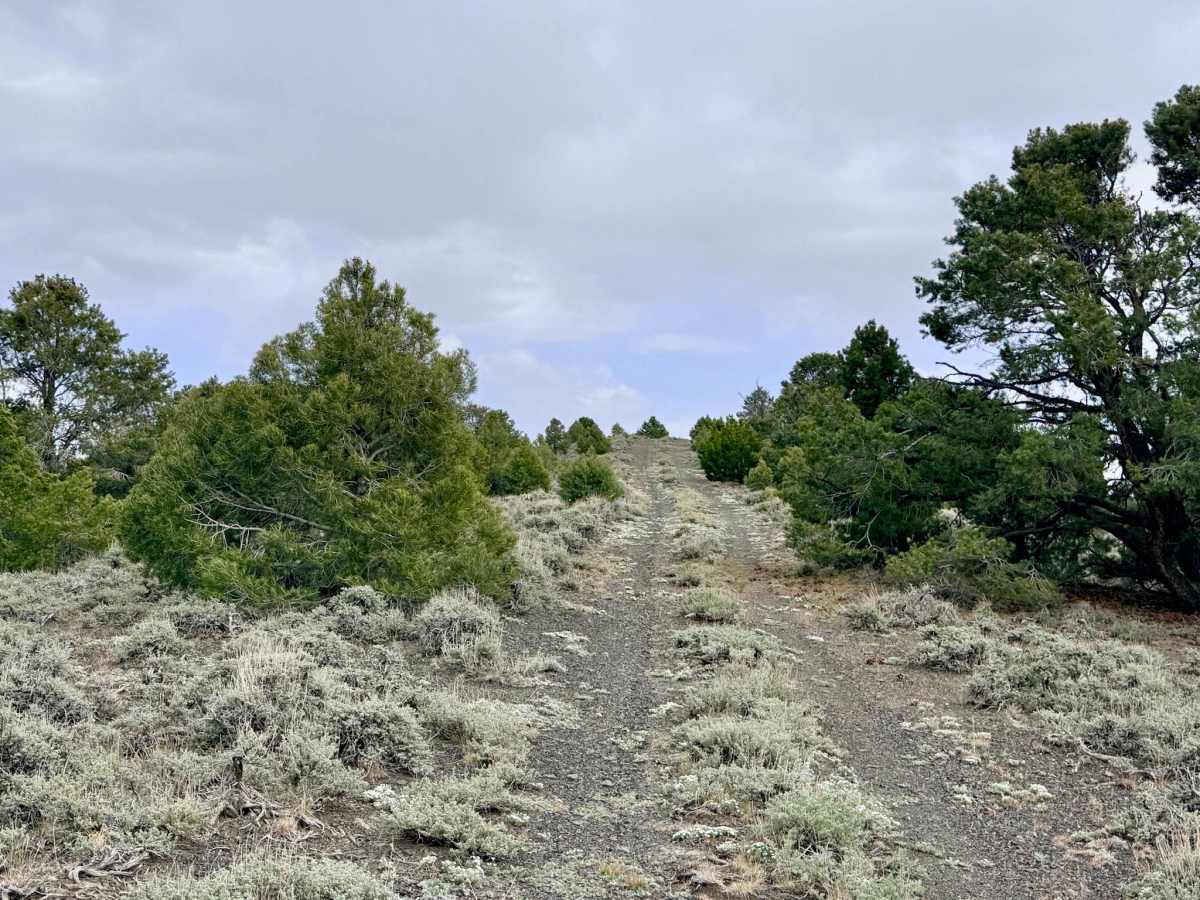 South Lowboy Mine FS43245 trail photo