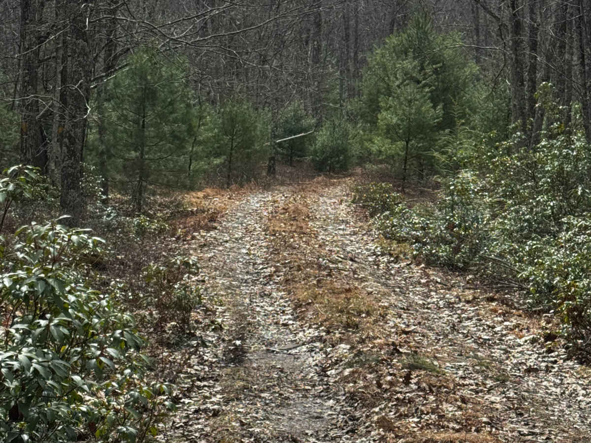 Dutlinger Trail photo 5