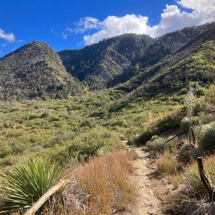 Near Big Angeles Loop Near Big Angeles Loop