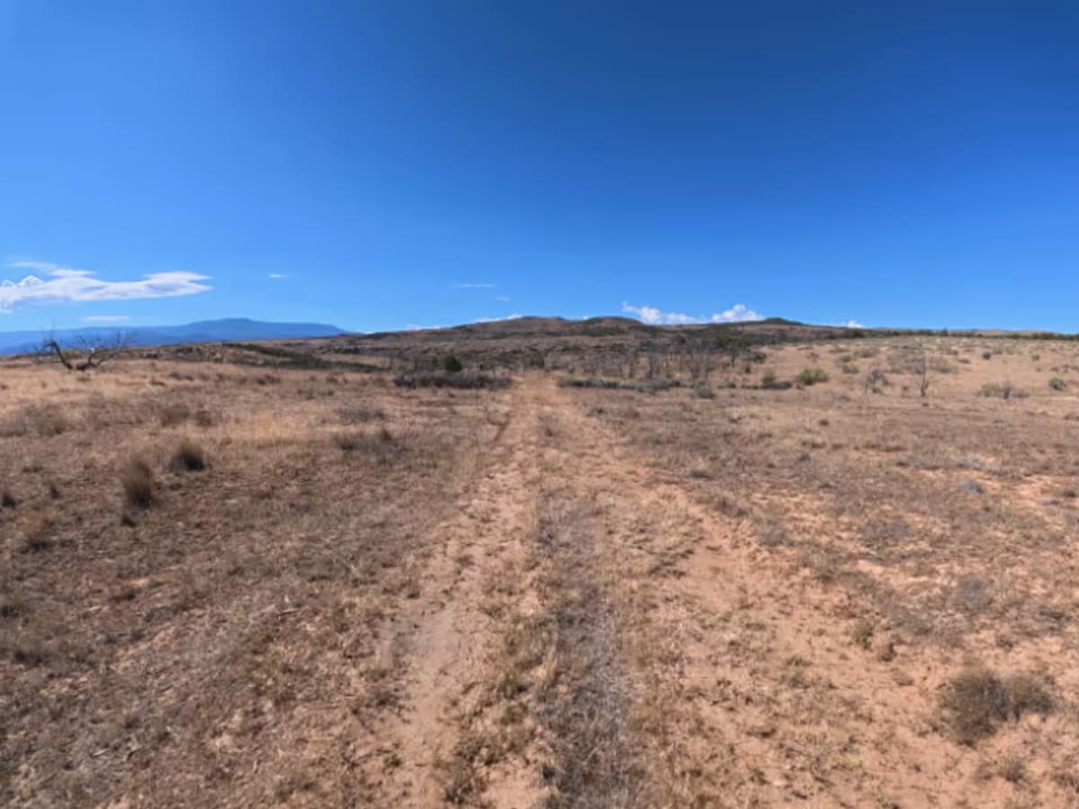 BLM 286C trail photo