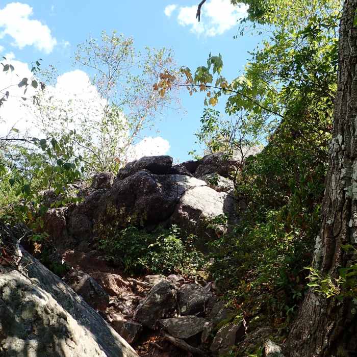 Near Terrace Pond West Loop Near Terrace Pond West Loop