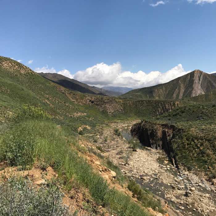 Near Sespe River Trail