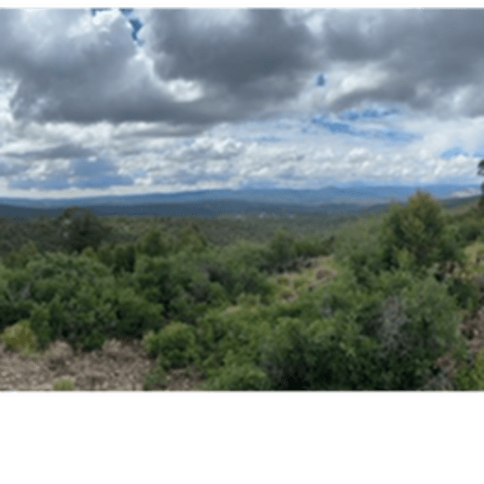 Near Vista Trail #259